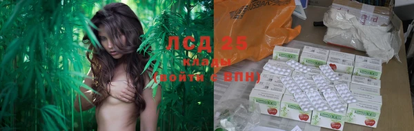 хмурый Вязники