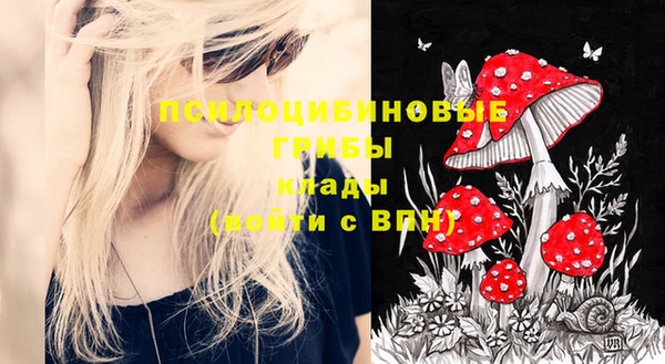 хмурый Вязники