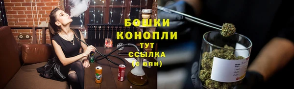 соль ск Вяземский