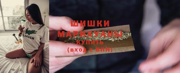 соль ск Вяземский