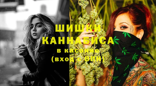 соль ск Вяземский